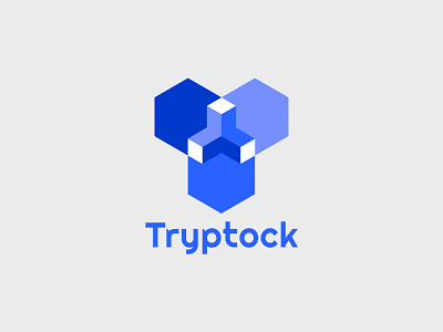 Tryptock - Logo Design [Bitcoin & Crypto] branding graphic design logo