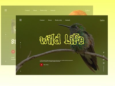 wild life web design animal bird clean document forest green home home page jungle list lizard natural photo photography ui ux web website wild wild life