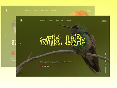 wild life web design