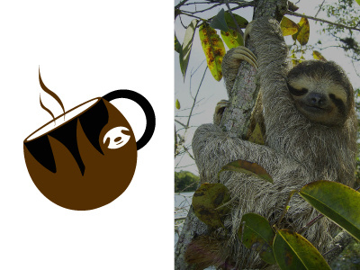 Sloth Coffe Logo branding design illustration logo