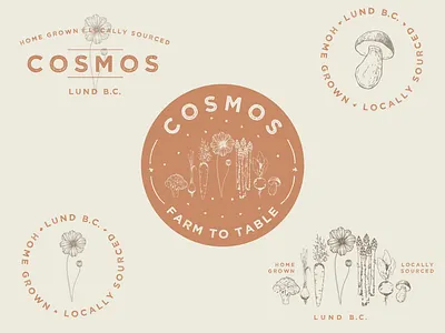 Cosmos - Farm To Table antique branding burnt orange cosmos desert design farm to table floral home grown illustration logo mushroom natural pnw space stars vegetables vintage