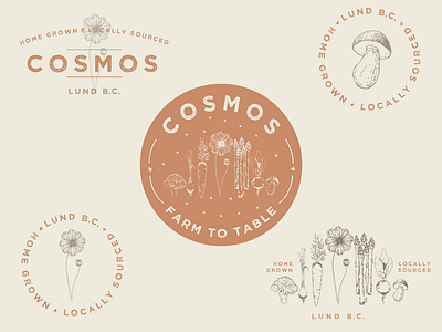 Cosmos - Farm To Table