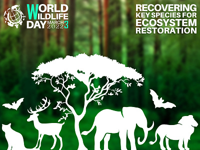 World Wildlife Day (WWD) animal animals environment forest globe green jungle nature safari trees tropical wild wildanimals wildlife wildlife design wildlife sanctuary woods world wild life day wwd zoo