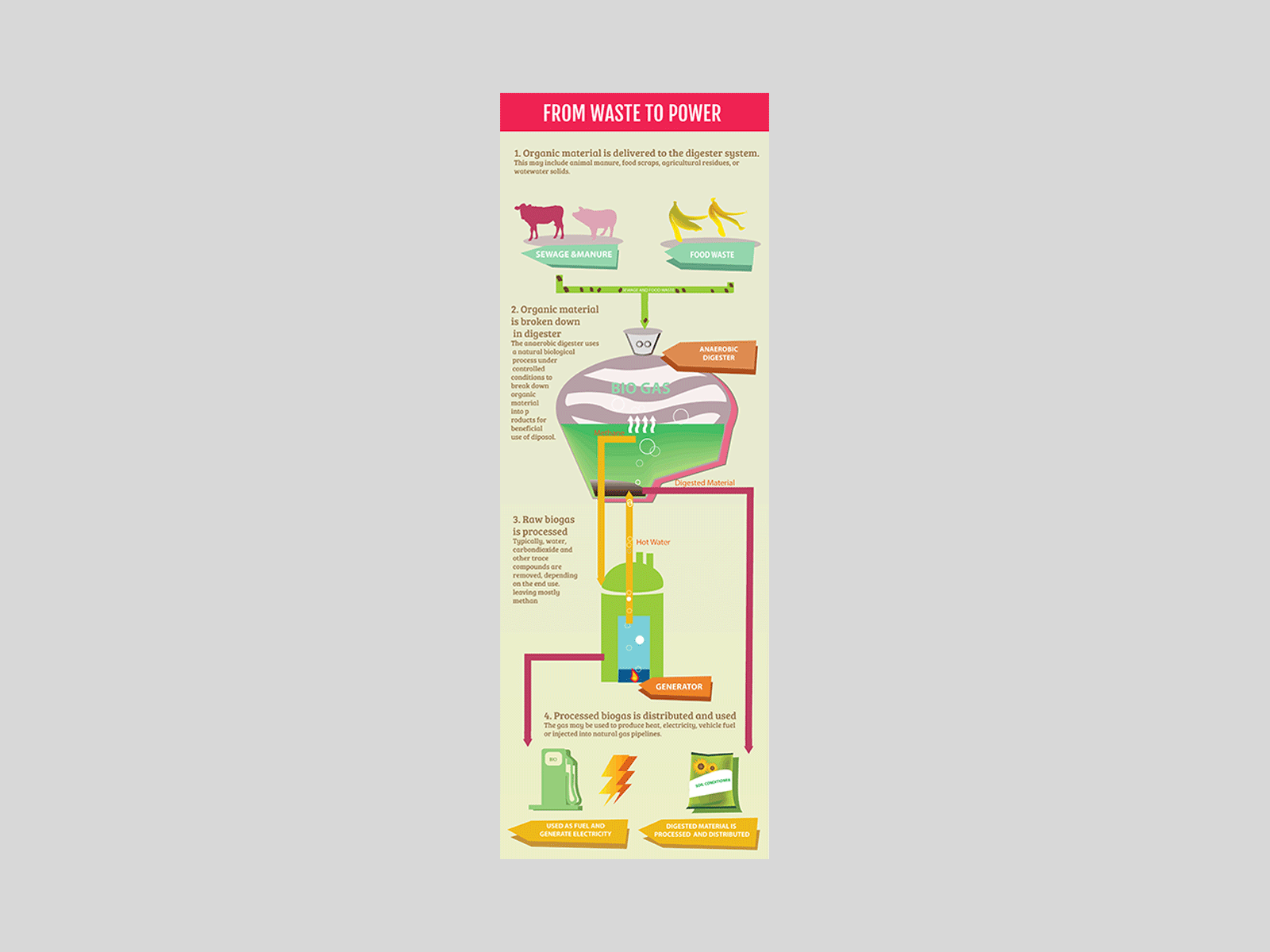 Animated Infographic infographic information design