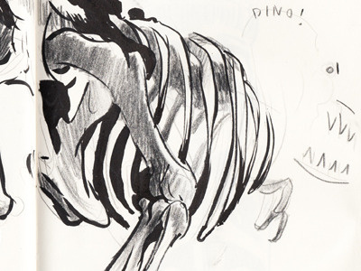 Dino sketch