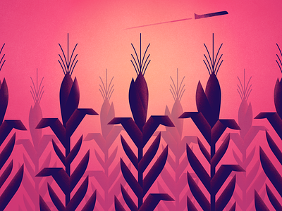 Corn airplane backlit corn illustration pink sunset