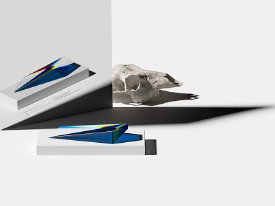 The Waste Land: 100 Years - Composition 2 3d blender branding distortion glass graphic design mirror poetry prism prismatic reflection refraction skull waste land wasteland