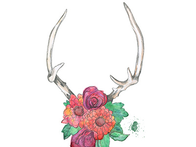 stay wild antlers botanical flowers illustration painting watercolor