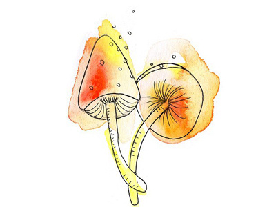 Mushrooms botanical illustration linedrawing mushrooms painting plants sketch watercolor