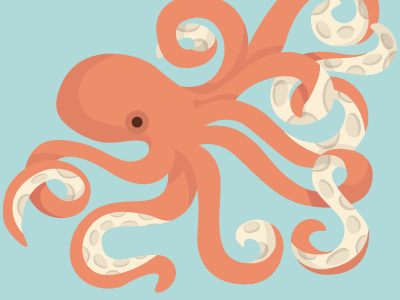 octopus illustration