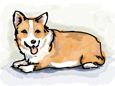 corgi corgi illustration