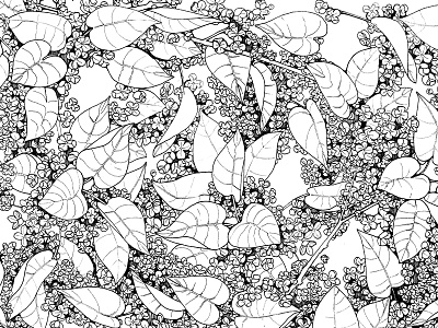 Lilac Pattern illustration ink lilac line pattern pen secret midnight press spring