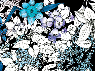 Live Poems Love Poems blue book cover drawing flower illustration ink lilac pen purple secret midnight press