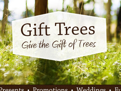 Gift Trees Redesign/Rebrand Concept amienne chaparral hexagon nature photography type