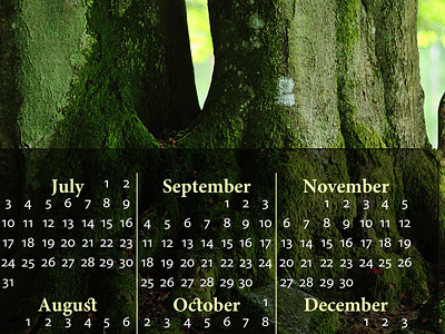 2011 Arbor Day Calendar calendar minion months myriad nature photo photography tree