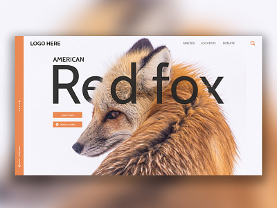 Wildlife web Ui branding design flat illustration minimal typography ui ux vector web website