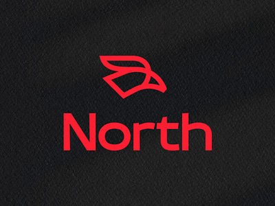 North | Brand Identity brand brand identity branding design graphicdesign jullyana barasileiro logo logos logotype minimal sports design