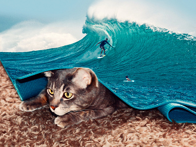 Cat and sea waves