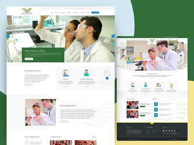 Website UI/UX Design & Development branding college website design educational website flat minimal ui ux web web design xd design