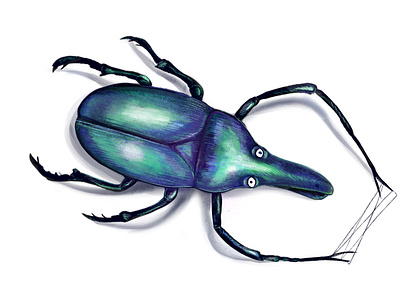 Beetle art beetle creative digital digital art digitalart drawing illustration illustrations insect
