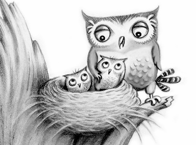 Owls animals nest owls pencil