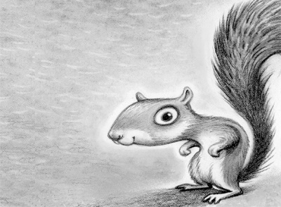 Squirrel animals pencil squirrel