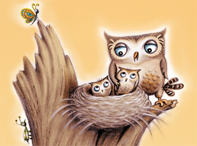 Owls Color finish animals baby animals bugs nest owls snag