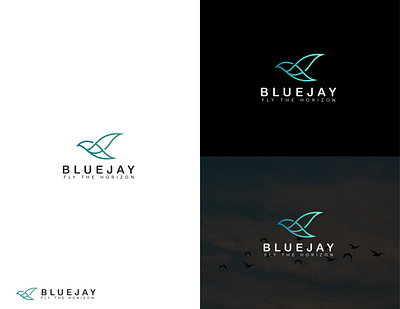 BLUEJAY brand branding design flat logo logo design logo logo design minimal