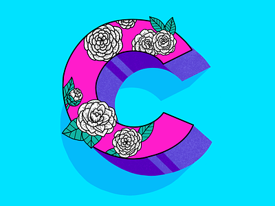 Letter C 36days c 36daysoftype c camellia letter lettering
