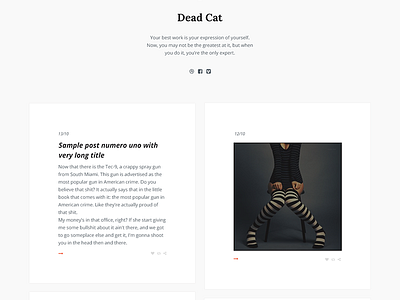 Dead Cat 0.1 - tumblr theme blog clean simple tumblr web webdesign