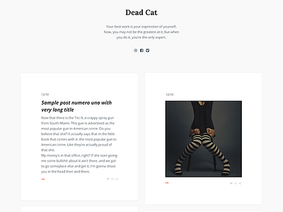 Dead Cat 0.1 - tumblr theme