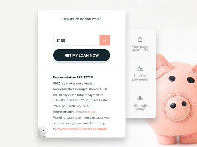 Experiment | Pigz vol.2 autoresponder design loan money pink web
