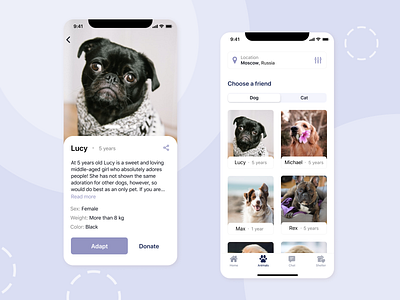 Mobile App - Pet Shelter animal app figma mobile pet photoshop shelter