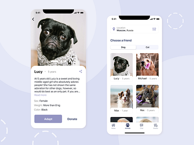 Mobile App - Pet Shelter