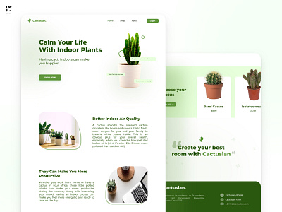 Cactus WebStore cactus ecommerce green landing page online store plants web design web store