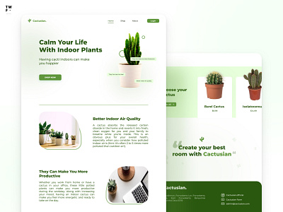 Cactus WebStore