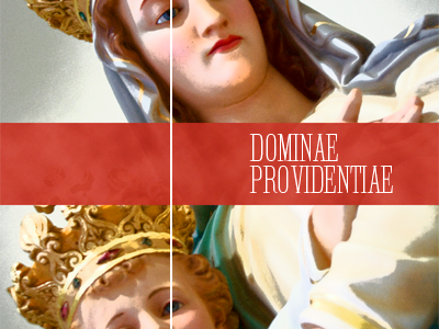 Dominae Providentiae book cover