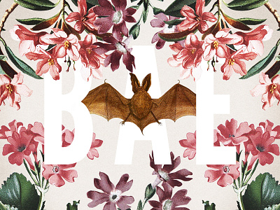 bae bat botanical creative commons flowers illustration