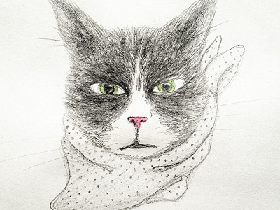 Britney animal cat drawing illustration kitty pencil portait