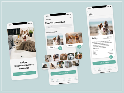 Mobile App - Pets shelter