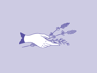 Lavender design hand icon illustration lavender