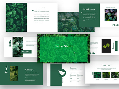Beauty Of Nature microsoft powerpoint powerpoint design powerpoint presentation powerpoint template ppt template presentation presentation design presentation layout presentation template slide design