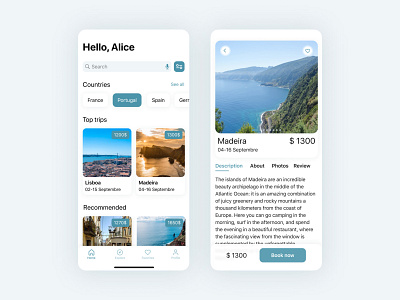 Travel App for iOS app mobile app mobile app design ui