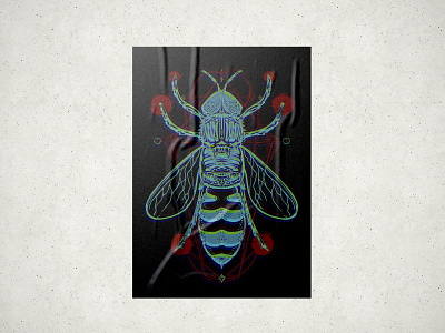 wasp animal cartoon dark geometic horror illustration insect monster scary terror wasp