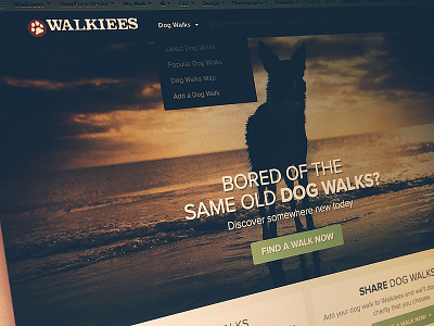 Walkiees homepage tweaks dog homepage walkiees