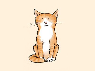 Cat cat cats drawing illustration kitten