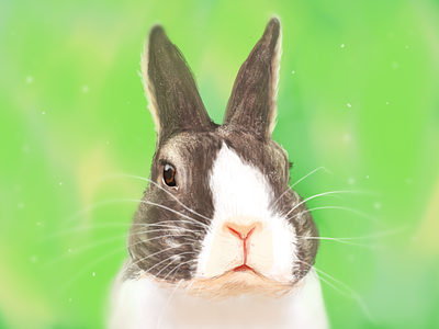 “Did somebody say ‘carrots’?” hobby painting rabbit sketchbook