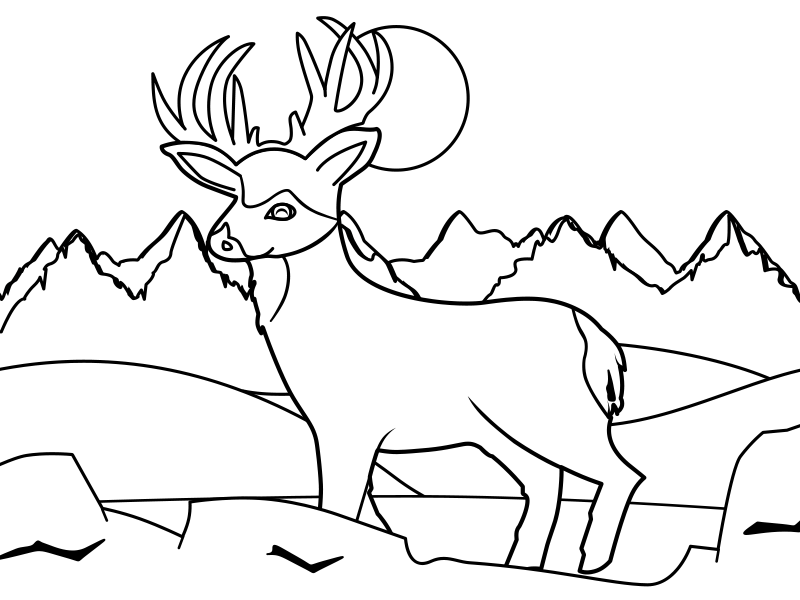 Deer Adventure Dribbble vector cartoon deer coloring book