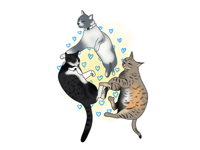 Cats illustration cats illustration kitten procreate