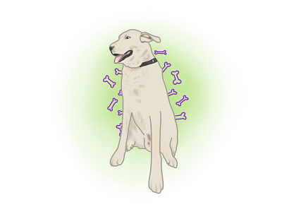 Dog illustration dog illustration procreate